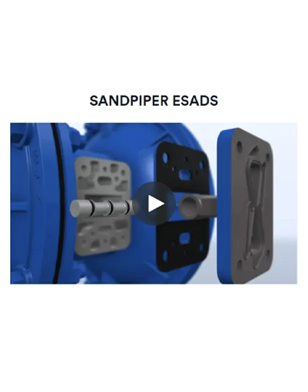 SANDPIPER ESADS - Video