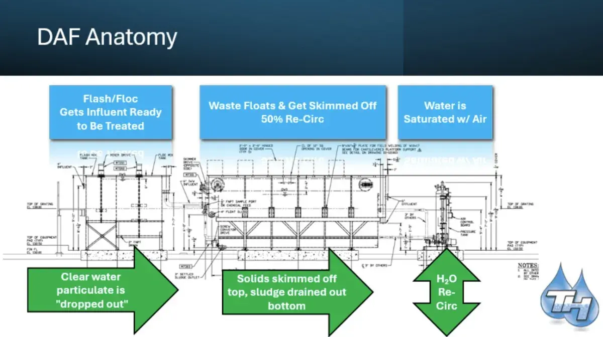 DAF Anatomy