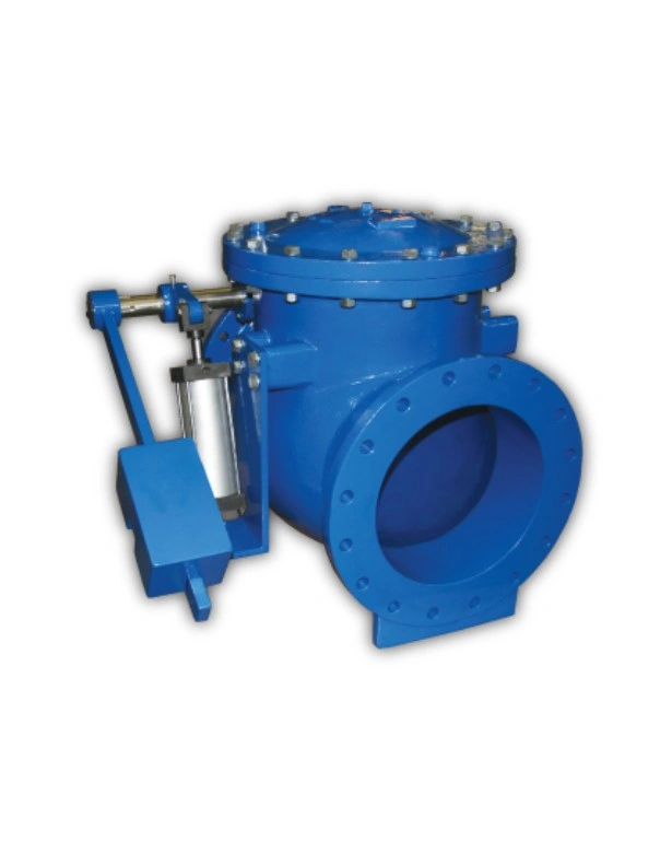 Swing Check Valve