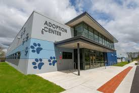 Baltimore Animal Rescue and Care Shelter (BARCS)