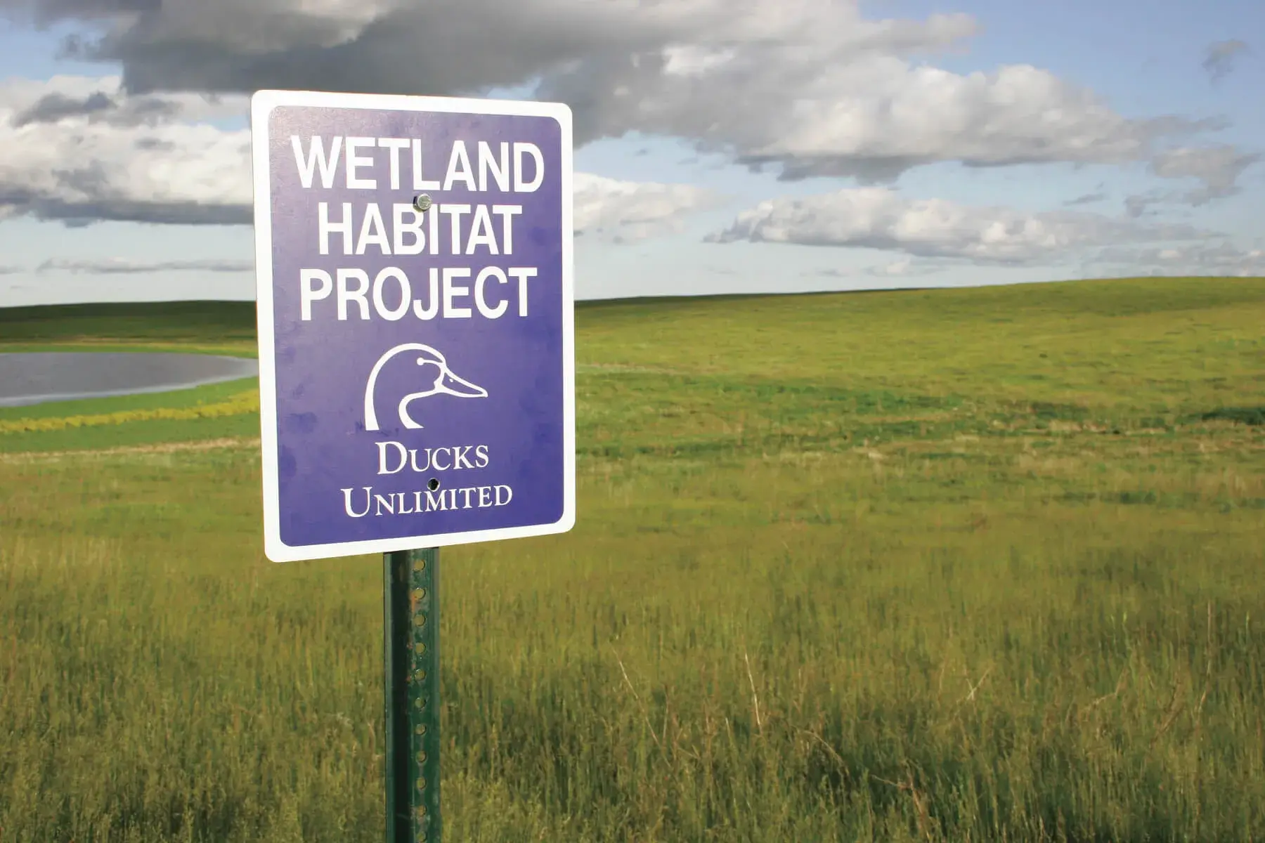 Duck Unlimited Conservation Project